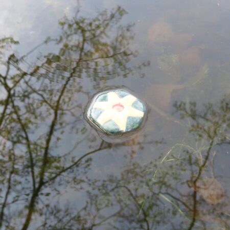 Alternative view of Schwimm-Blumen für den Gartenteich - Grün-Gelb