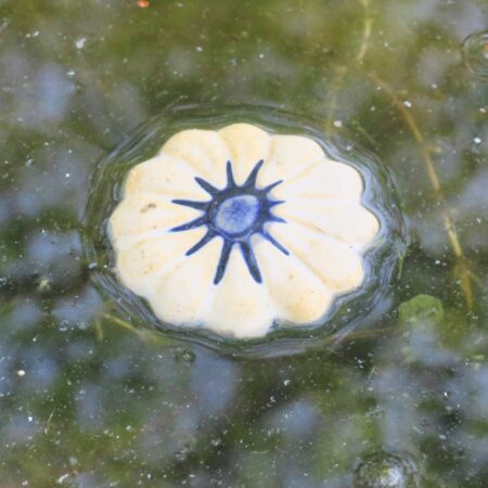 Schwimm-Blumen für den Gartenteich - Weiß-Blau – Bild 7