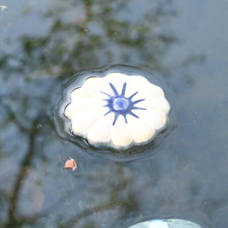 Schwimm-Blumen für den Gartenteich - Weiß-Blau – Bild 8