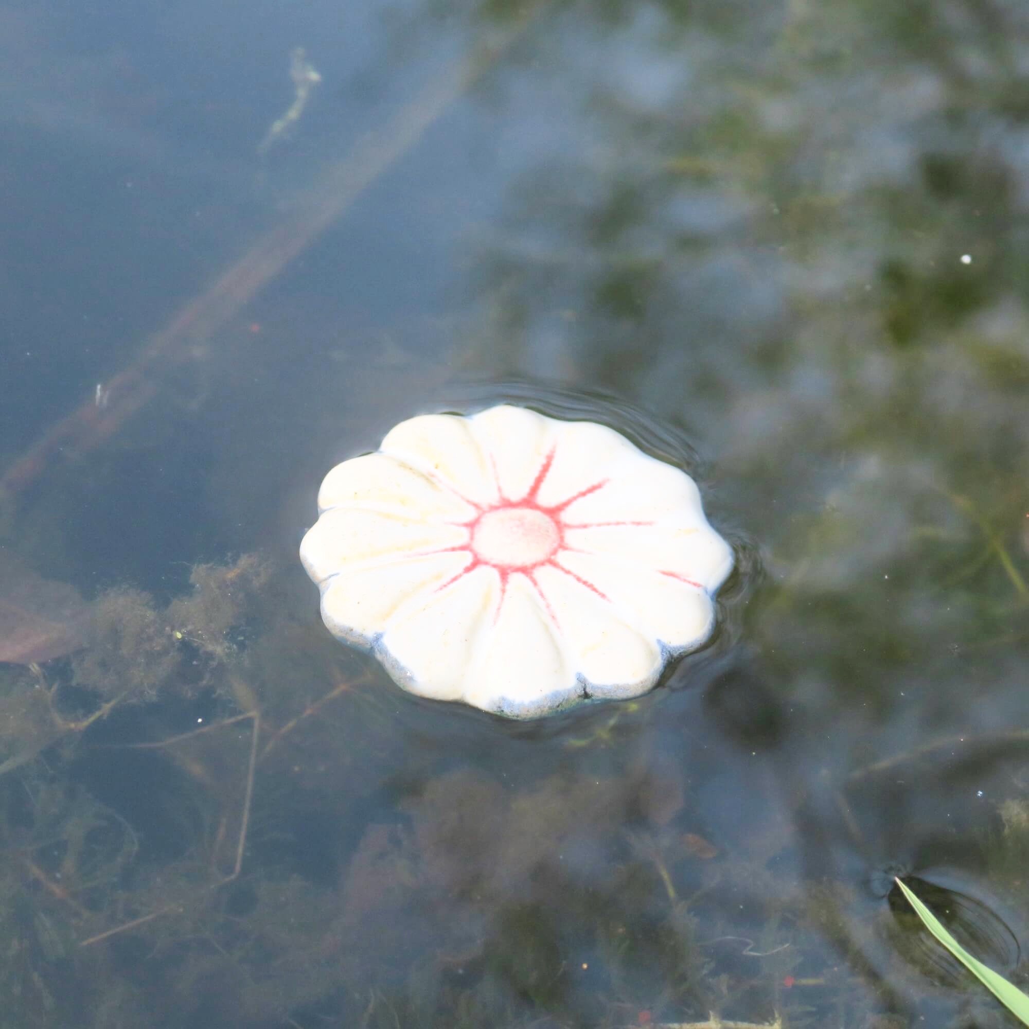 Schwimm-Blumen für den Gartenteich - Weiß-Rot 2 Schwimm-Blumen für den Gartenteich - Weiß-Rot – Bild 2