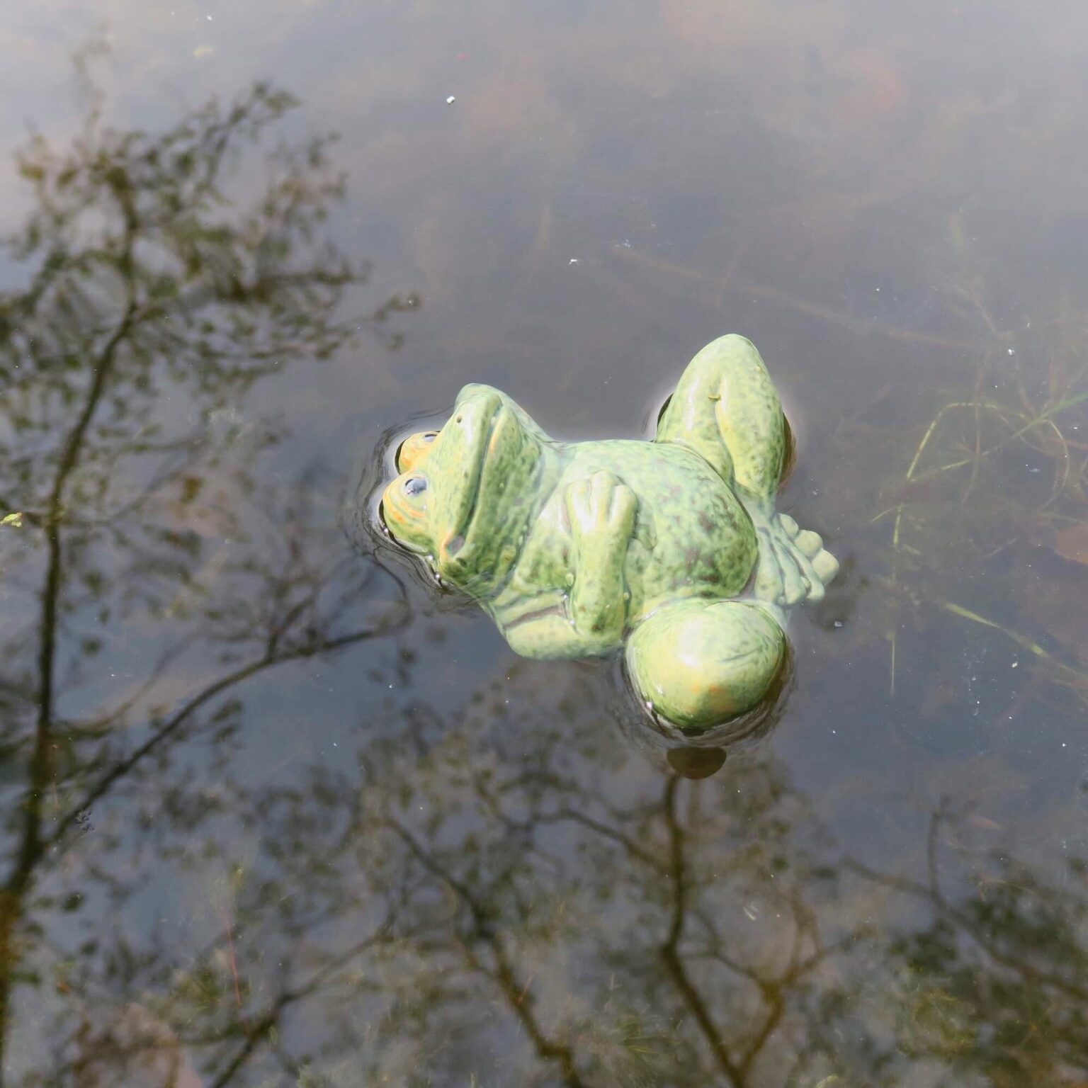Entspannter Keramik Frosch für den Gartenteich 2 Entspannter Keramik Frosch für den Gartenteich – Bild 2