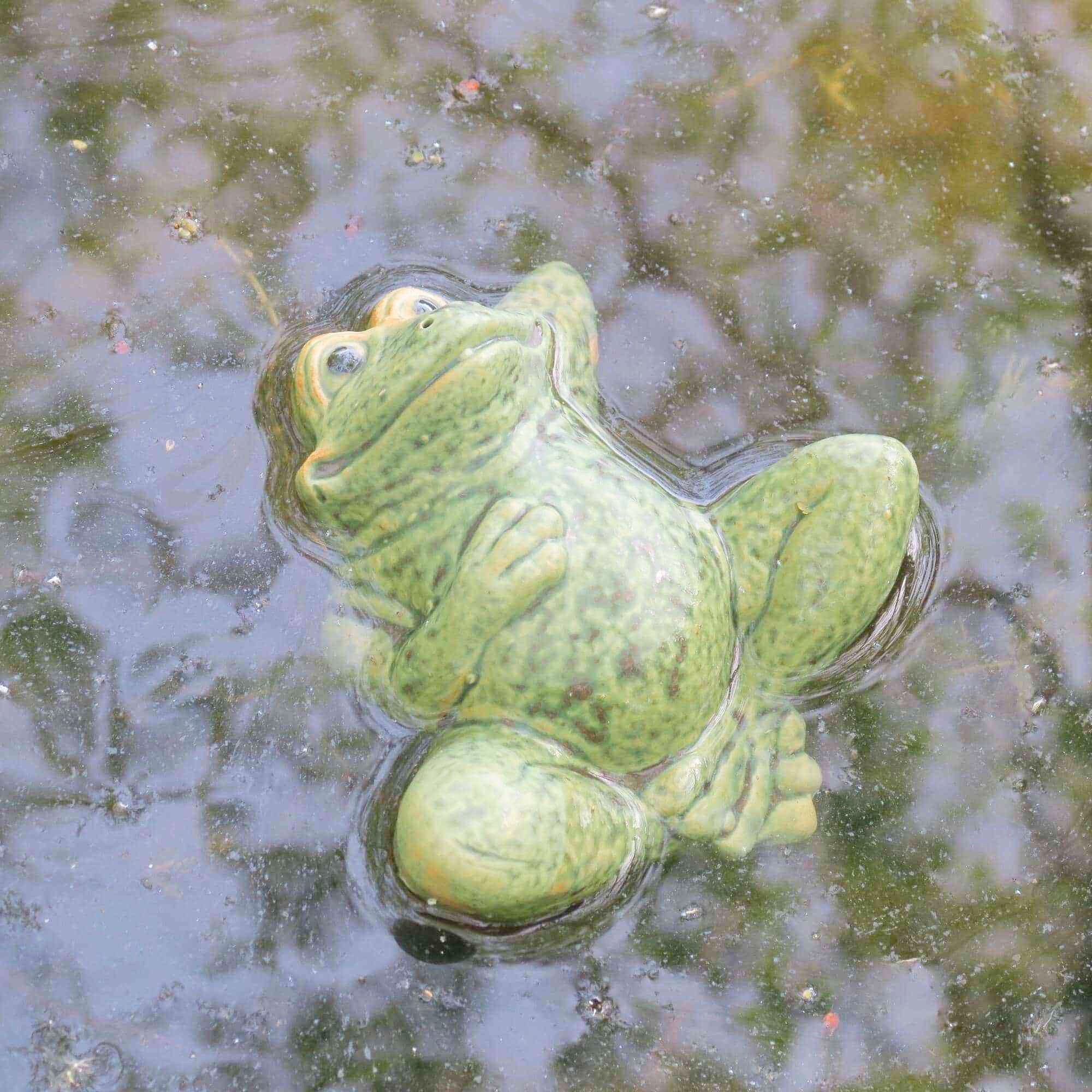 Entspannter Keramik Frosch für den Gartenteich 5 Entspannter Keramik Frosch für den Gartenteich – Bild 5
