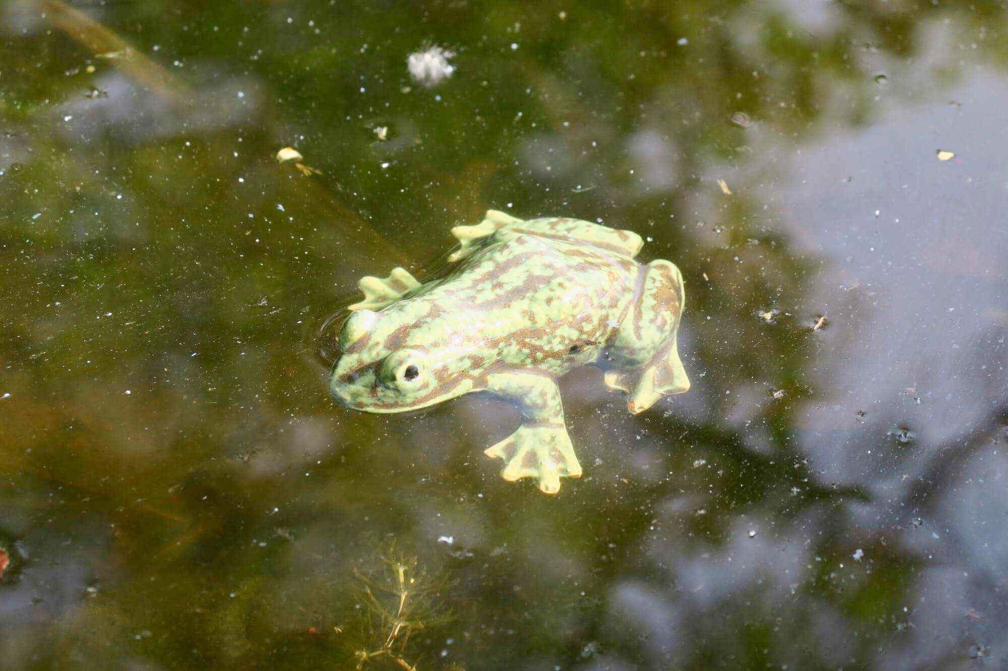 Naturnaher Keramik-Frosch für den Gartenteich 5 Naturnaher Keramik-Frosch für den Gartenteich – Bild 5